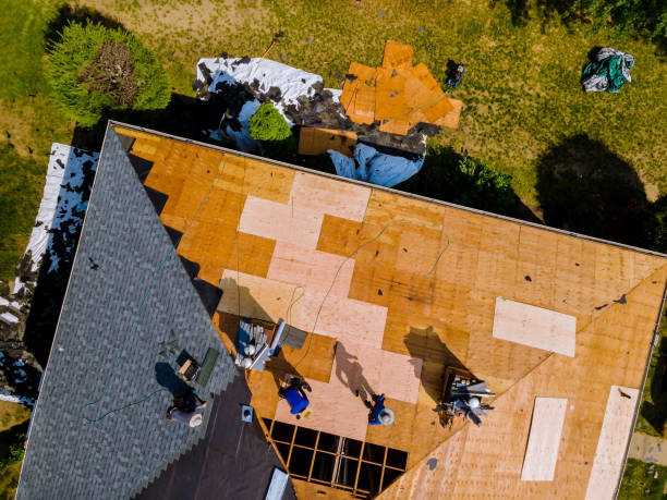 Best Flat Roof Repair Services  in Hamlet, IN