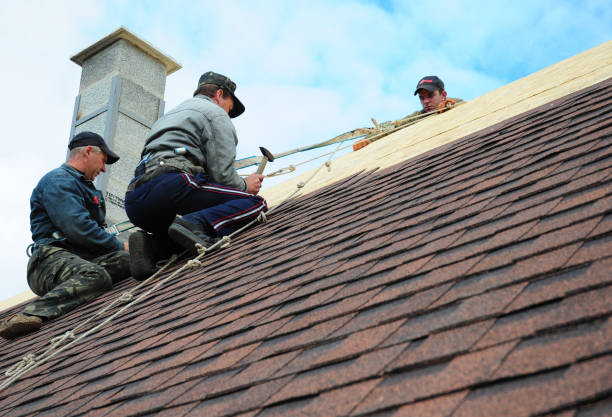 Best Best Roofing Contractors  in Hamlet, IN